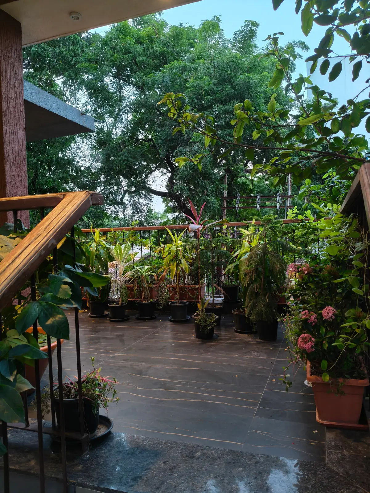 First Floor Stairs at Kalpataru Ayurved